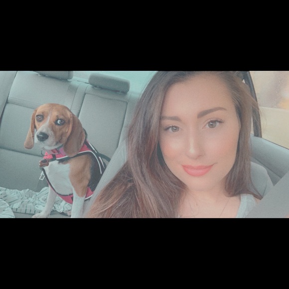 Meet your Posher, Zoey - Picture 6 of 8